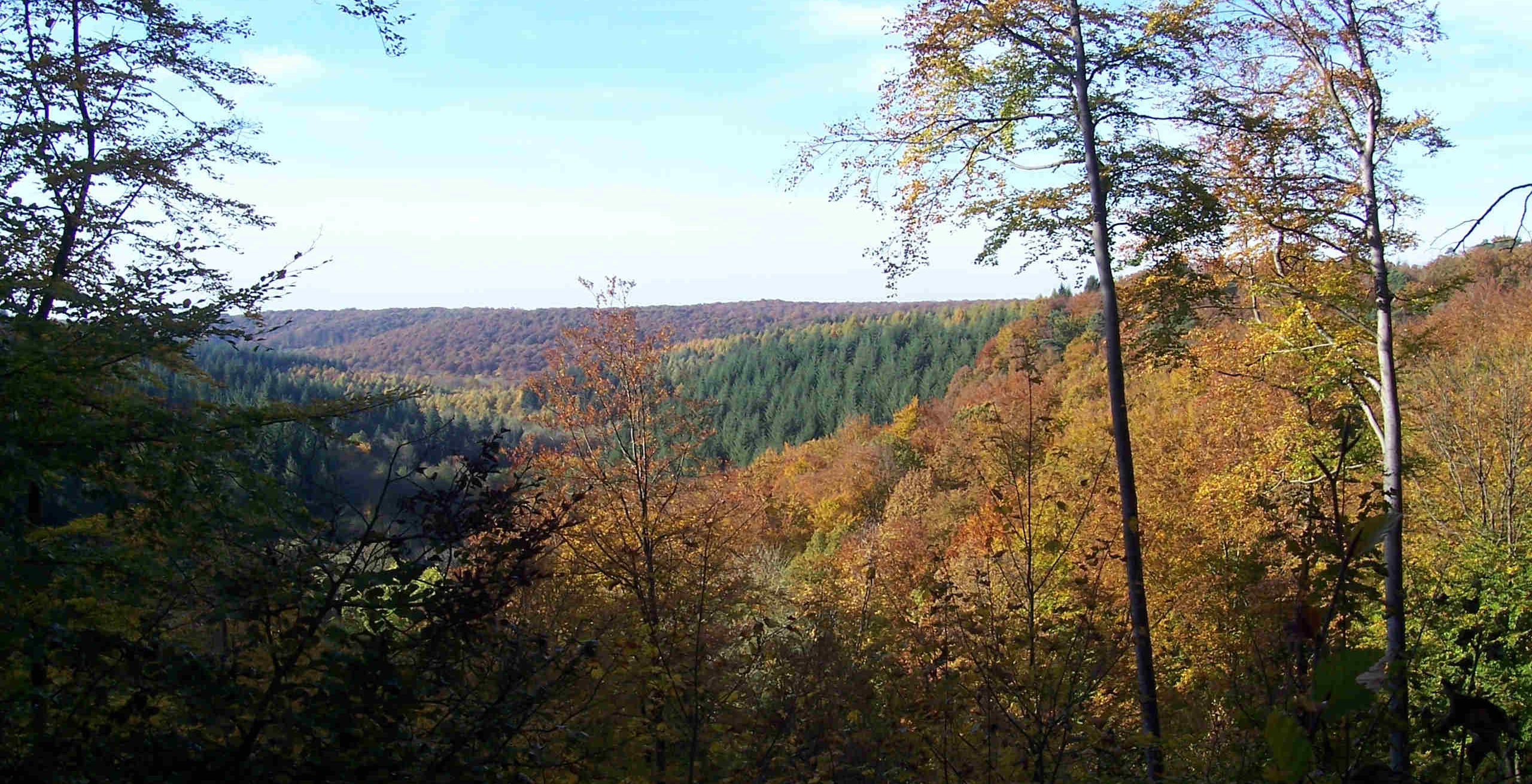 1007_forêt_argonne_©_Argonne-PNR - Copie2
